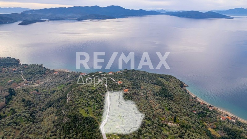 Αγροτεμάχια 5.843 τ.μ. πρός πώληση, Μαγνησία, Αργαλαστή