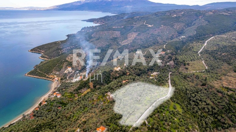 Αγροτεμάχια 5.843 τ.μ. πρός πώληση, Μαγνησία, Αργαλαστή