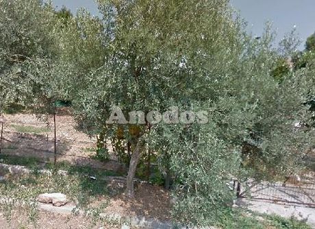 Οικόπεδο 353τ.μ. για πώληση-Γλυκά νερά » Κέντρο