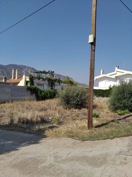 Οικόπεδο 500τ.μ. για πώληση-Κόρινθος » Κεχριές