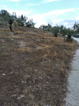 Οικόπεδο 3.200τ.μ. για πώληση-Κόρινθος » Κέντρο