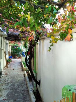 Μονοκατοικία 65τ.μ. για πώληση-Ίλιον » Μιχελή