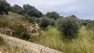 Οικόπεδο 1.824 τ.μ. για πώληση, Ν. Χίου, Χίος-thumb-2