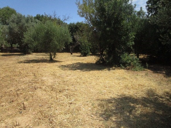 Οικόπεδο 1.873,91 τ.μ. πρός πώληση, Ν. Χίου, Χίος
