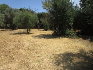Οικόπεδο 1.873,91 τ.μ. για πώληση, Ν. Χίου, Χίος-thumb-3