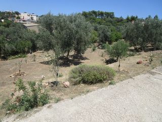 Οικόπεδο 1.741 τ.μ. για πώληση, Ν. Χίου, Χίος-thumb-3