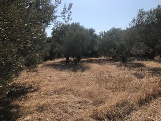 Οικόπεδο 1.649,87 τ.μ. για πώληση, Ν. Χίου, Χίος-thumb-5
