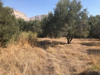 Οικόπεδο 1.649,87 τ.μ. για πώληση, Ν. Χίου, Χίος-thumb-2