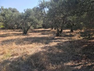 Οικόπεδο 1.649,87 τ.μ. για πώληση, Ν. Χίου, Χίος-thumb-1