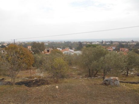 Οικόπεδο 4.005,16τ.μ. για πώληση-Χίος