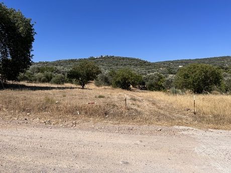 Parcel 1.370sqm for sale-Chios