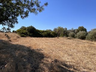 Αγροτεμάχια 1.370 τ.μ. προς πώληση, Άγιος Μηνάς Χίου-thumb-7