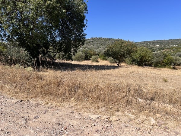 Αγροτεμάχια 1.370 τ.μ. πρός πώληση, Ν. Χίου, Χίος