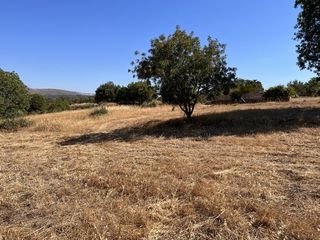 Αγροτεμάχια 1.370 τ.μ. προς πώληση, Άγιος Μηνάς Χίου-thumb-10