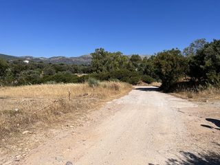 Αγροτεμάχια 1.370 τ.μ. προς πώληση, Άγιος Μηνάς Χίου-thumb-1