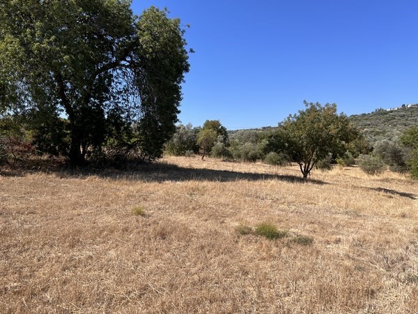 Αγροτεμάχια 1.370 τ.μ. πρός πώληση, Ν. Χίου, Χίος