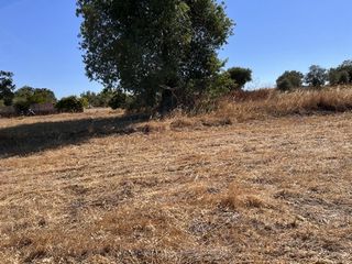 Αγροτεμάχια 1.370 τ.μ. προς πώληση, Άγιος Μηνάς Χίου-thumb-11