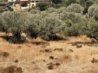 Οικόπεδο 1.583 τ.μ. για πώληση, Ν. Χίου, Χίος-thumb-5
