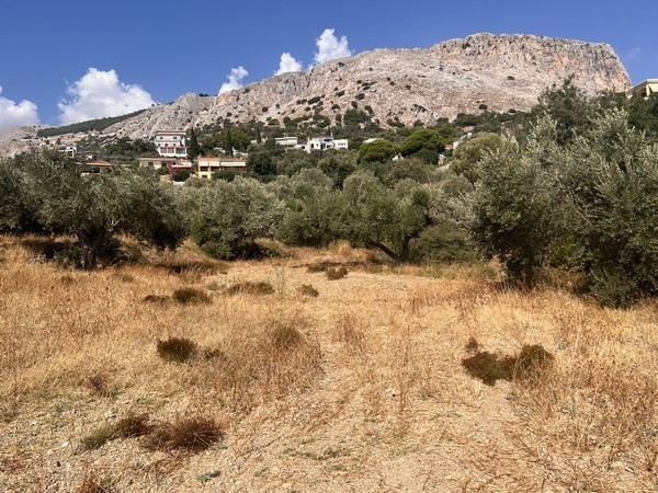 Οικόπεδο 1.583 τ.μ. πρός πώληση, Ν. Χίου, Χίος