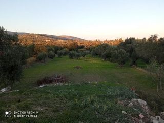 Οικόπεδο 2.609 τ.μ. για πώληση, Ν. Χίου, Χίος-thumb-1