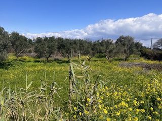 Οικόπεδο 2.640 τ.μ. για πώληση, Ν. Χίου, Χίος-thumb-1