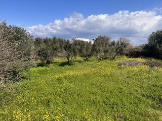 Οικόπεδο 2.640 τ.μ. για πώληση, Ν. Χίου, Χίος-thumb-2