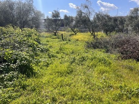 Land plot 2.640sqm for sale-Chios