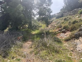 Οικόπεδο 500 τ.μ. για πώληση, Ν. Χίου, Χίος-thumb-3
