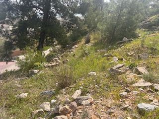 Οικόπεδο 500 τ.μ. για πώληση, Ν. Χίου, Χίος-thumb-6