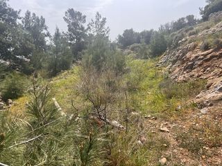 Οικόπεδο 500 τ.μ. για πώληση, Ν. Χίου, Χίος-thumb-4