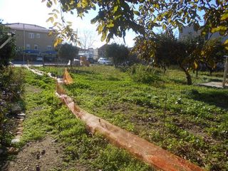 Οικόπεδο 1.132 τ.μ. για πώληση, Ν. Χίου, Χίος-thumb-6