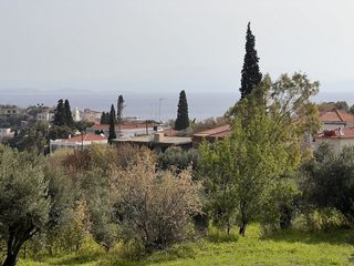 Οικόπεδο 642 τ.μ. για πώληση, Ν. Χίου, Χίος-thumb-1