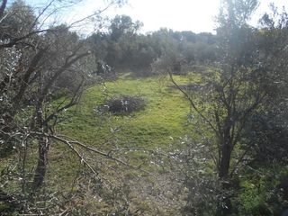 Οικόπεδο 2.983 τ.μ. για πώληση, Ν. Χίου, Χίος-thumb-2