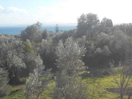 Οικόπεδο 2.983τ.μ. για πώληση-Χίος