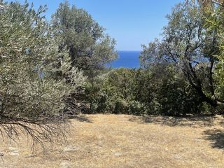 Οικόπεδο 1.695,99 τ.μ. για πώληση, Ν. Χίου, Χίος-thumb-1