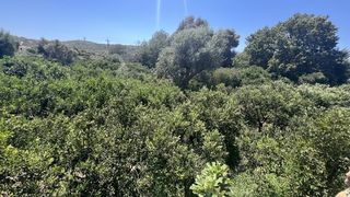 Οικόπεδο 4.267,88 τ.μ. για πώληση, Ν. Χίου, Χίος-thumb-18