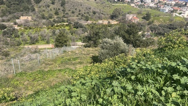 Οικόπεδο 2.643 τ.μ. πρός πώληση, Ν. Χίου, Χίος