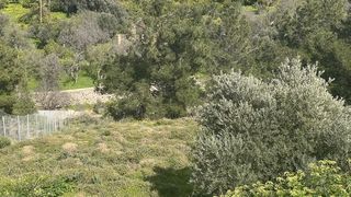 Οικόπεδο 2.643 τ.μ. προς πώληση, Πόλη Χίου-thumb-5