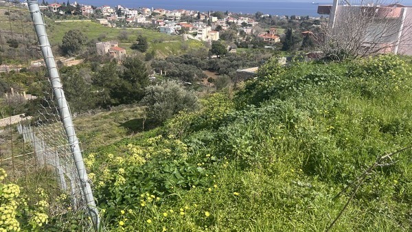 Οικόπεδο 2.643 τ.μ. πρός πώληση, Ν. Χίου, Χίος
