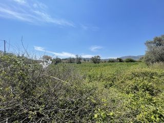 Οικόπεδο 3.609 τ.μ. για πώληση, Ν. Χίου, Χίος-thumb-4