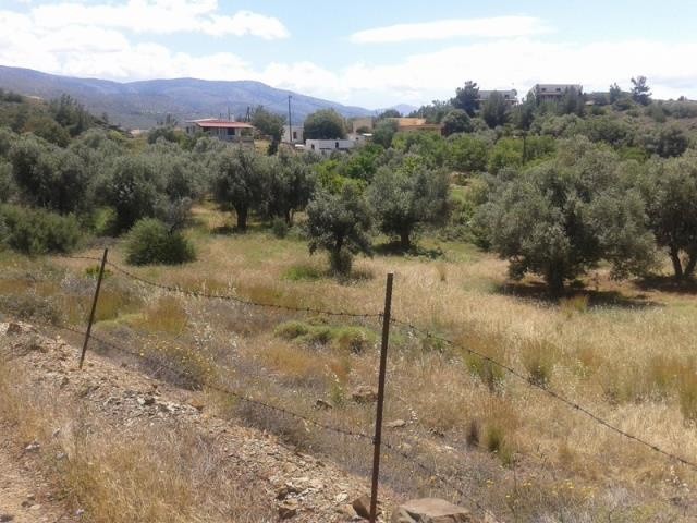 Οικόπεδο 1.497,23 τ.μ. πρός πώληση, Ν. Χίου, Χίος