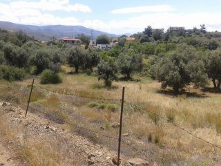 Οικόπεδο 1.497,23 τ.μ. για πώληση, Ν. Χίου, Χίος-thumb-4