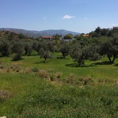Οικόπεδο 1.497,23 τ.μ. για πώληση, Ν. Χίου, Χίος-thumb-6