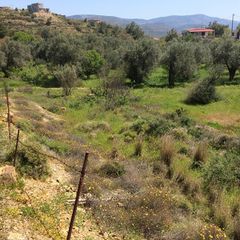 Οικόπεδο 1.497,23 τ.μ. για πώληση, Ν. Χίου, Χίος-thumb-7