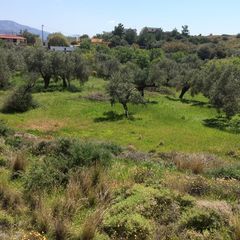 Οικόπεδο 1.497,23 τ.μ. για πώληση, Ν. Χίου, Χίος-thumb-8