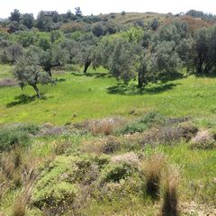 Οικόπεδο 1.497,23 τ.μ. για πώληση, Ν. Χίου, Χίος-thumb-5
