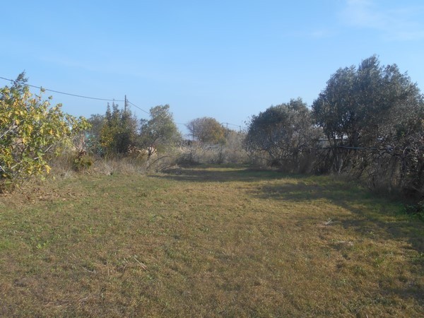 Οικόπεδο 3.120 τ.μ. προς πώληση, Πόλη Χίου