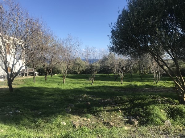 Οικόπεδο 673 τ.μ. πρός πώληση, Ν. Χίου, Χίος