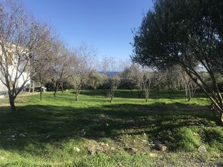 Οικόπεδο 673 τ.μ. για πώληση, Ν. Χίου, Χίος-thumb-1