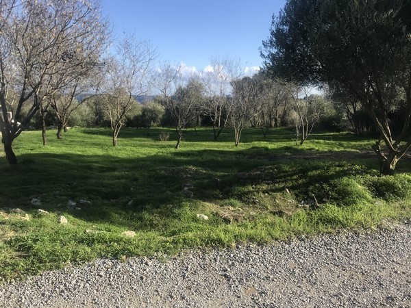 Οικόπεδο 673 τ.μ. πρός πώληση, Ν. Χίου, Χίος